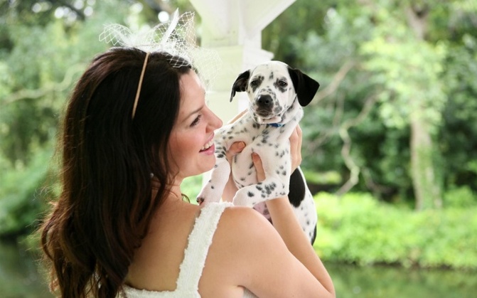 ISPCA Wedding Caroline Morahan image